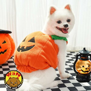   nEB RX`[ nEB[  hbOEFA ^ ^  ̕  RXv ڂ J{`