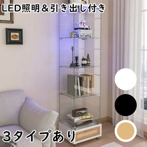 LED�Ɩ��������o���t�� �K���X�f�B�X�v���C�L���r�l�b�g�b���t�������K���X���[�I�b���r���O�E�Q���p 1�h�A4�i