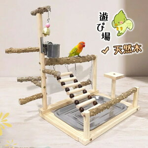 インコ 遊び場 バード おもちゃ アスレチック 玩具 スタンド 止まり木 はしご 食器 水器 遊園地 秋千 鳥の巣 鳥休憩場所 鳥の遊び場 バードトイ オウムブランコ 鳥か ご支え棚 吊下げタイプ