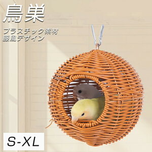 VR100% 喞 VR҂ ̑ IECRpQ P/O//OK lGΉ Ng S݌v pi 100%H|i