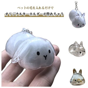 4種類セット うさぎの毛 キーホルダー ペット 遺毛 ケース 透明 抜け毛収納 携帯 持ち歩き メモリアルグッズ 可愛い ペットひげ 小動物 毛を保管するボトル かわいい