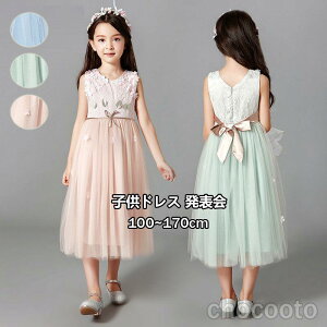 qhX \ sAm  s[X ~gO[  WjA ̎q F RN[ LbY ӂ { `[ tH[}