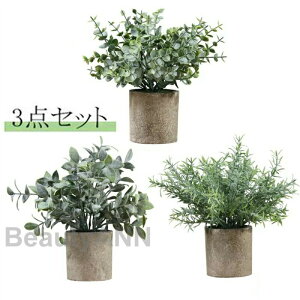 V ϗtA 3_Zbg lHA  23cm CeAO[ ~jϗtA    tFCNO[ lHϗtA CeA bsv v[g zj V