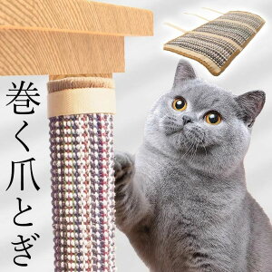 ܂ƂDȃlR }WbNe[vŊ e[űr  \܂Ƃ \ ܂Ƃ \t@[ ܂Ƃ}bg }bg  Ђ ߂Ƃ C Lbg^[ R