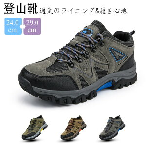 Vifr[ oRC Xj[J[ ^C gbLOV[Y Y fB[X nCLOV[Y AEghAV[Y oRC  LvV[Y ʋC ~ oRpV[Y 