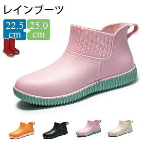 Cu[c fB[X CV[Y V[g y o[u[c n hH JC h  C [q[ ʋ ʊw V[gCu[c wlC ~J Jp ʋ ʊw y