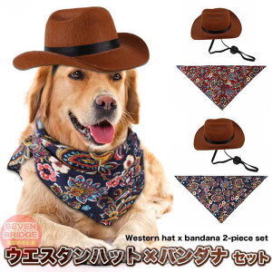  L Xq JE{[Cnbg o_i 2_Zbg ybg ^b` ̖Xq eKnbg