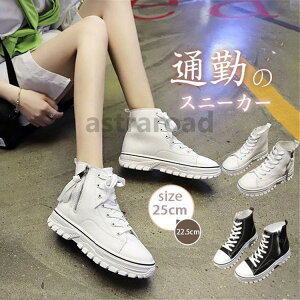 Xj[J[ fB[X ₷ JWA ^ t@Xi[t nCJbg ɂȂ AEghA  ʋC R hL ~ ʊw