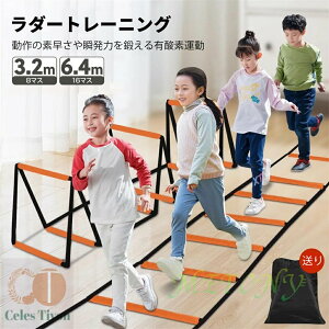 _[ g[jO 3.2m 8}X 6.2m 16}X n[h g[jO_[ ̃_[ Wv [ܕt   TbJ[ tbgT 싅 oXPbg{[ o[  X|[c g[