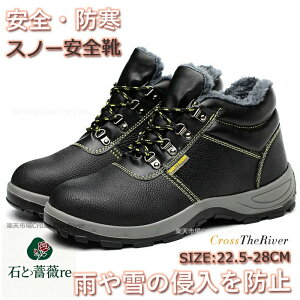 Xm[u[c Y V[g Xm[V[Y Xm[V[YY ~C Y kC  Ȃ h SC nCJbg {A h 傫TCY Xm[V[Y Xm[u[c fB