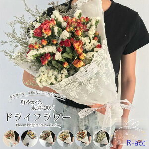 hCt[ 48cm ԑ \[vt[ qiMN o X^[`X v[g ԍ CeA  XC[c`RȊO sv