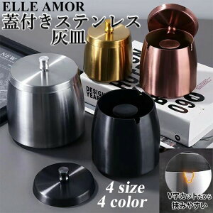 DM t^t ACRX Wt ӂt TCY  DM IV   XeX  e  O ^oR hL a 蕨 v[g ȒP֗ Mtg