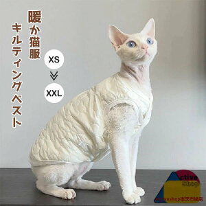 XtBNXL LbgEGA xXg LeBO  L  _炩 Ȃ H~ RjXт̔L EȒP AEghA ybgEGA  R[jbVbNX f{bN