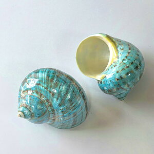 Lk グ ΐF L zL VRf  ANAE CAEg CeAu  hJzp ւk [ Vؕ j[N IuWF 