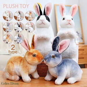 ʂ e ETM A CeA 킢 ҂҂  NX}X VNj aMtg