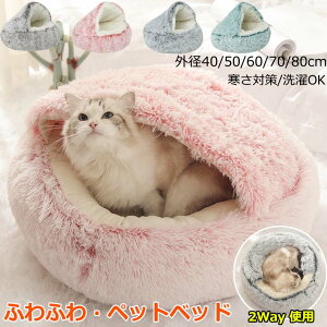 y1899~1861~ P2p! 11/27 01:59zL xbh nEX h[^  L ybgxbh g ӂӂ   薰 _炩 ۉh ybg NbV ~ ^ 