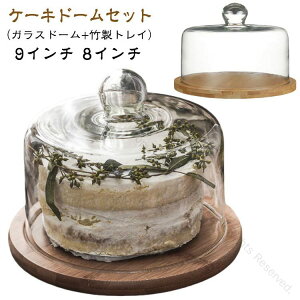 KXh[ P[LJo[ P[LX^h P[X َqJo[ fU[gv[g P[Lh[ P[LgC  ӂ  OXh[ |gCt ƒp ؐF ؐ p[