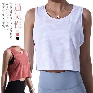 X|[c ^Ngbv fB[X V[g W KEFA gbvX ւo 킢 Jt  jO tBbglX seBX zbgK ʋC bV [NAEg 