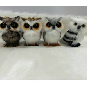 y2Zbgz u tNE  ObY ~j`A CeA ʂ  _炩 ӂӂ 킢 蕨 CeA  lC    蕨 ԓANZT[ v