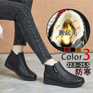 [gu[c fB[X ₷ ₷ V[gu[c V[Y {A   }}V[Y h  h t