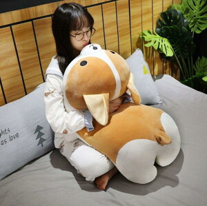 ʂ   R[M[ 킢  ObY ӂӂ  ܂ Aj} NbV a 蕨 v[g Mtg 60cm