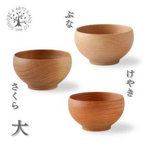 Y ̂ SONOBE ߂ڂo   ₫ Ԃ o