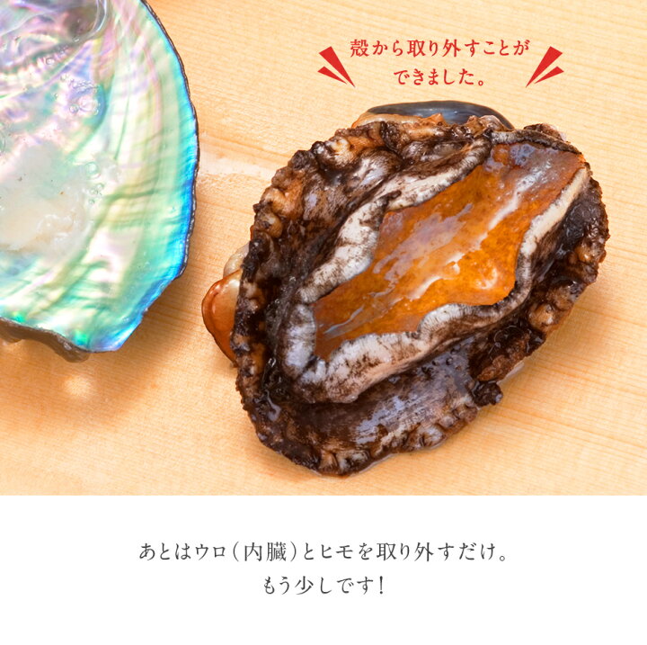 楽天市場 礼文 利尻島産 天然アワビ 凍結 L Llサイズ 1鮮度そのまま急速冷凍 あわび 鮑 グルメ ギフト 北海道 食品 貝 海鮮 お土産 お取り寄せ プレゼント お取り寄せグルメ 海鮮 島の人 礼文島の四季 北海道ギフト