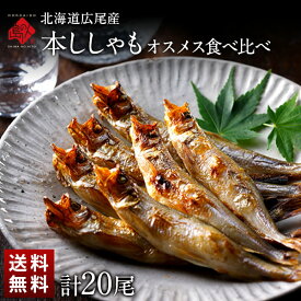 【計20尾】北海道 広尾産 本ししゃも 夫婦セット オス メス食べ比べ (各10尾)【送料無料】北海道で水揚げされた本ししゃも子持ち お取り寄せグルメ 魚 御中元