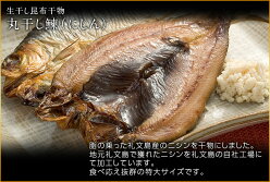 お試し昆布干物セット(6種類12尾)【送料無料】北海道の厳選干物ほっけ、宗八かれい、こまい、ししゃも、イカの一夜干し、開きさんま干物セット詰め合わせひものセット魚お土産お取り寄せ残暑見舞い北海道ギフトお歳暮