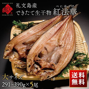 ɓoIłĐ 當Y gق TCYi291`390gj×5yzɂ̂ӂ_炩zkC 񂹃O  Hi Hו  CN CY  䒆