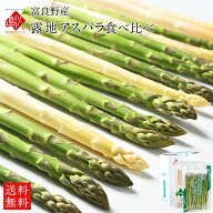 アスパラ 北海道 富良野産 露地栽培 2色食べ比べセット 1.0kg(グリーン600g＆ホワイト400g)【送料無料】…
