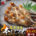 【肉厚・濃厚】北海道産 本ししゃも オス・メス食べ比べ【送料無料】お取り寄せグルメ 北海道 プレゼント グルメ 海鮮…