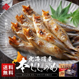 【肉厚・濃厚】北海道産 本ししゃも オス 40尾入り【送料無料】高級 柳葉魚 お取り寄せグルメ 内祝い お返し 冬グルメ ギフト お歳暮 御歳暮 景品