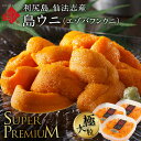 うに 北海道 利尻島 仙法志産 スーパープレミアム生エゾバフンウニ 240g【送料無料】大きい粒を選りすぐり雲丹 生うに 塩水パック 塩水ウニ ギフト グルメ 海鮮 海鮮丼 贈り物 お取り寄せグルメ ミョウバン未使用 バフン 高級