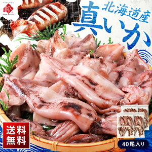 _܂Ƃߔ406,437~^kCY ^CJ(荠TCY)10ۂƁiۋjkC 񂹃O  Y CN CY