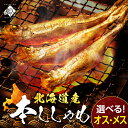 【肉厚・濃厚】北海道産 本ししゃも オス・メス食べ比べ【送料無料】お取り寄せグルメ 北海道 プレゼント グルメ 海鮮…