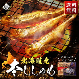 【高評価★4.8】北海道産 本ししゃも(オス／メス)高級 柳葉魚 お取り寄せグルメ 食べ物 食品 海鮮 海産物