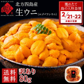 【2月21日～2月22日お届け】うに 天然生エゾバフンウニ 80g 北方四島産【送料無料】【色が赤い訳あり品】北海道 生うに 塩水 パック 雲丹 バフンウニ 海鮮 海産物 食べ物 食品 お取り寄せグルメ 無添加