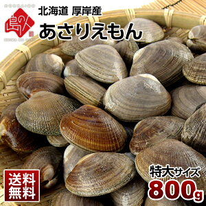 kC ݎY Ɗkt傠 800g(肦)lꂽĂ͂yzyoρz݂`ApGAAɃuh  kC L  CN Yn 