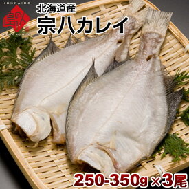 カレイ 北海道産 宗八鰈(そうはちカレイ) 250-350g 3尾セット旨さの秘密は自慢の【利尻昆布】昆布干物 北海道 お土産 お取り寄せ 食品 食べ物 魚 高級 青空レストラン