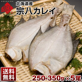 カレイ 北海道産 宗八鰈(そうはちカレイ) 250-350g 5尾セット【送料無料】旨さの秘密は自慢の【利尻昆布】昆布干物 北海道 お土産 お取り寄せ 食品 食べ物 魚 高級 青空レストラン