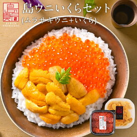 【水揚げ次第お届け】うに いくら 北海道 礼文・利尻島産 生キタムラサキウニ 90g＋昆布だしいくら 50g セット【送料無料】雲丹 無添加 塩水パック ギフト グルメ 食品 食べ物 贈り物 塩水うに 生うに お取り寄せグルメ 贈答品 鮭イクラ 母の日 父の日