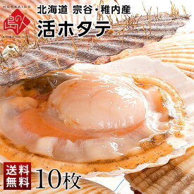 宗谷・稚内産 活ホタテ 10枚(約1.6kg)【送料無料】未冷凍 生食OK北海道 殻付き 帆立 ほたて 貝柱 お取り寄せグルメ 食品 食べ物 貝 海鮮 海産物 バーベキュー 高級 BBQ