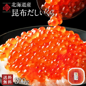 _r[]4.7^ōz ݖ 300g kCY ΗYyzy傫zc肵ȂlꂽĐVN̎̂ݎgpkC O Hi Hו CN CY 