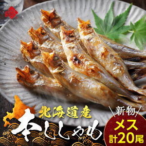 yEZzkCY { IXEXHה(e20)yz񂹃O kC v[g O CN N 