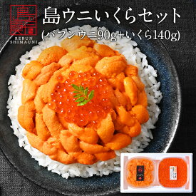 うに イクラ 北海道 礼文・利尻島産 生エゾバフンウニ 80g＋昆布だしイクラ 140g セット【ギフト箱入り】【送料無料】雲丹 無添加 塩水パック ギフト グルメ 食品 お取り寄せグルメ 塩水うに 生うに バフンウニ 贈り物 鮭イクラ 父の日 お中元