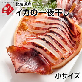 肉厚ジューシー♪イカの一夜干し 小サイズ「イカ」の旨みを熟成させる一夜干し加工北海道 お取り寄せグルメ 干物 食品 食べ物 海鮮 海産物 イカ バーベキュー BBQ