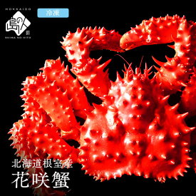 北海道 根室産 花咲ガニ(姿) 550g前後〜 北海道 根室産【送料無料】蟹の中でも濃厚な味花咲蟹 お取り寄せグルメ かに カニ 蟹 プレゼント グルメ ギフト 食品 食べ物 贈り物 お取り寄せ 海鮮 海産物 高級
