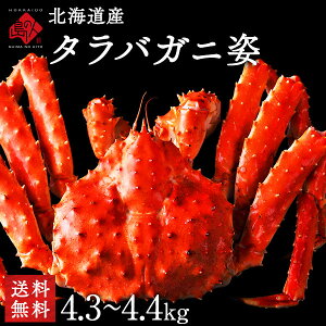 y󏭁zkC KY ^oKjipj4.0kg`yzyʌz񂹃O ^o Jj I Mtg Hi Hו CN CY  NNn  Ε Ε j 