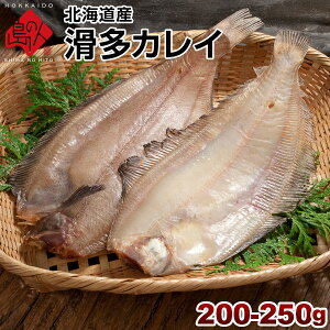 JC kCY (Ȃ߂ꂢ)200-250g|̔閧͎́yKzzz kC yY  Hi Hו  